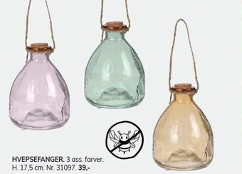 Hvepsefanger