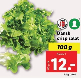 Lidl Dansk crisp salat tilbud