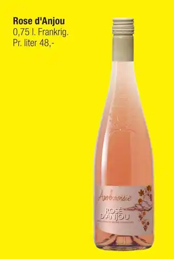 Calle Rose d'anjou tilbud