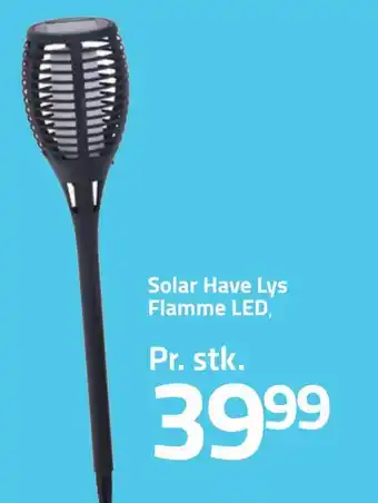 Solar have lys flamme