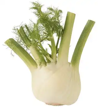 REMA 1000 Øko. fennikel, 1 ct tilbud