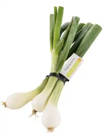 REMA 1000 Løg med top, 1 ct tilbud
