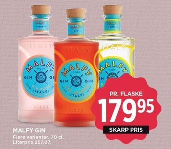 MALFY GIN