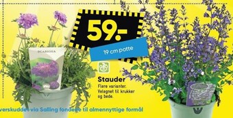 Bilka Stauder tilbud