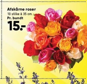 Bilka Afskårne roser tilbud