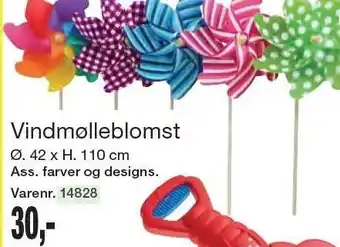 Vindmølleblomst