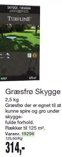 Harald Nyborg Græsfrø skygge tilbud