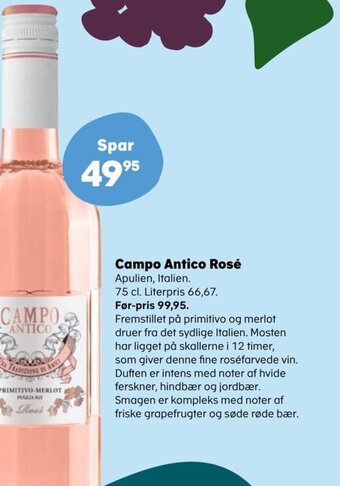 Campo Antico Rosé