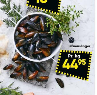Bilka Blåmuslinger tilbud