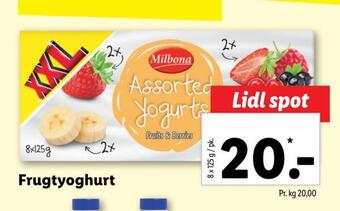 Lidl Frugtyoghurt tilbud