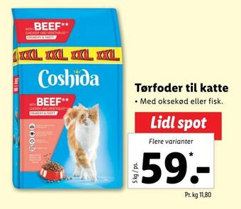 Tørfoder til katte