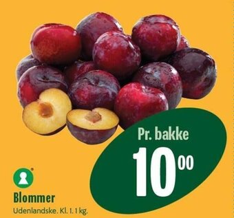 Blommer