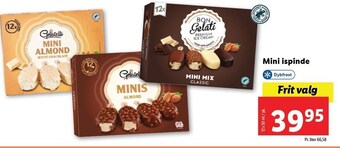 Lidl Mini ispinde tilbud