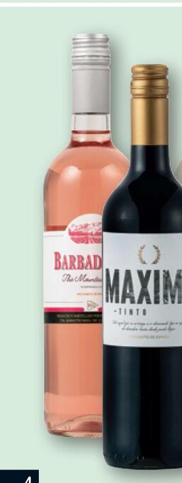 REMA 1000 Barbadillo the mountain rosé tilbud