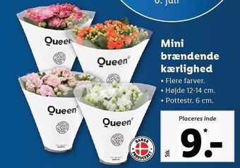 Lidl Mini brændende kærlighed tilbud