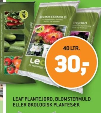 XL-BYG Leaf plantesæk tilbud