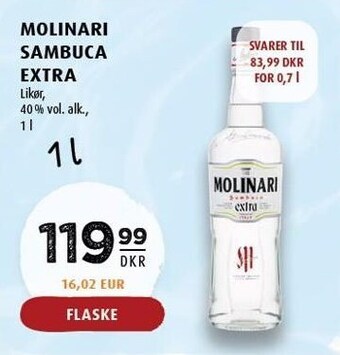 Molinari sambuca extra