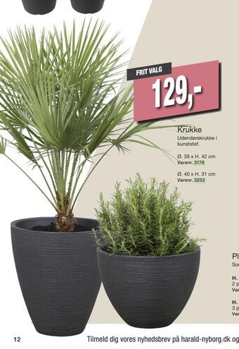 Harald Nyborg Krukke tilbud