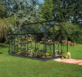 Halls drivhus popular 106 + glas og fundament - sort