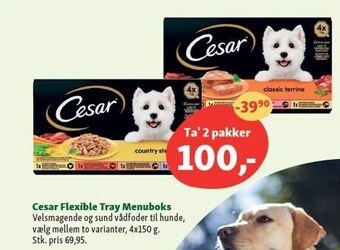 Cesar flexible tray menuboks 2 pakker