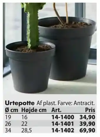 Urtepotte