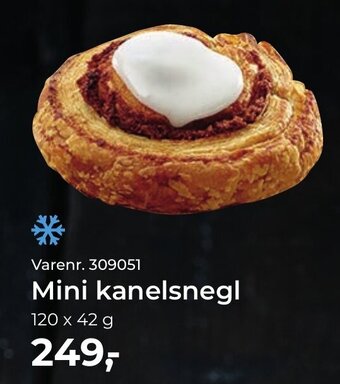 Dagrofa Food Service Mini kanelsnegl tilbud