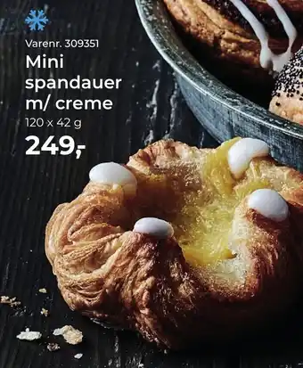 Dagrofa Food Service Mini spandauer m/ creme tilbud