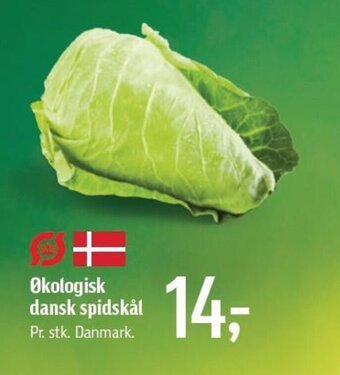 Føtex Økologisk dansk spidskål tilbud