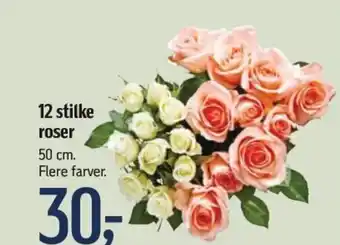 Føtex 12 stilke roser tilbud
