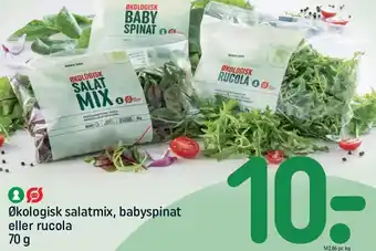 REMA 1000 Økologisk salatmix, babyspinat eller rucola tilbud