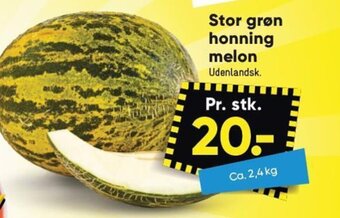 Stor grøn honning melon