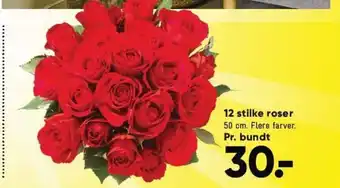 Bilka 12 stilke roser tilbud