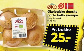 Økologiske danske porto bello svampe
