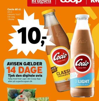 Cocio 60 cl