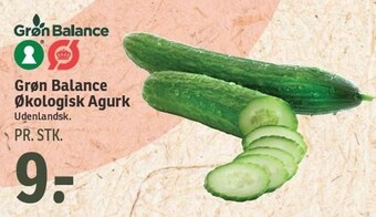 SPAR Grøn balance øko agurk tilbud
