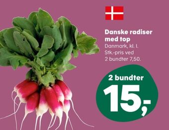 Ukendt radiser