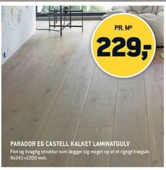 XL-BYG Parador laminatgulv tilbud