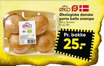 Bilka Salling øko svampe tilbud
