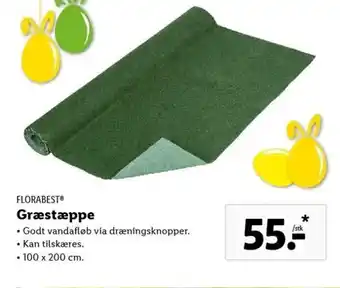 Lidl Florabest Græstæppe tilbud