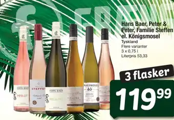 Fakta Tyskland Hans Baer, Peter & Peter, Familie Steffen el. Königsmosel Tyskland tilbud