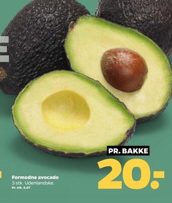 Netto Formodne avocado 3 stk. Udenlandske. tilbud