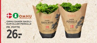 MENY OMHU DANSK BASILI-KUM ELLER PERSILLE PR. POTTE tilbud