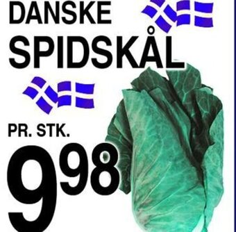 DANSKE SPIDSKÅL