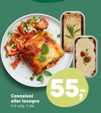 Kvickly Canneloni eller lasagne tilbud