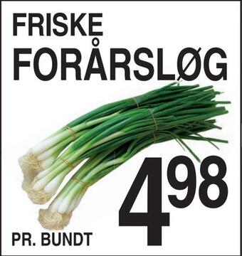 ABC Lavpris Forårsløg tilbud