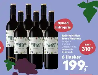 Spier a million trees pinotage