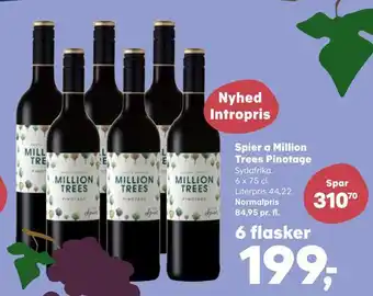 SuperBrugsen Spier a million trees pinotage tilbud