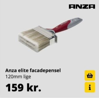 Anza pensel