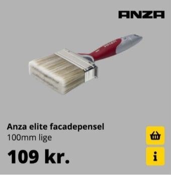 Anza pensel