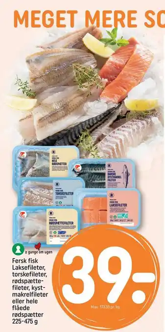 REMA 1000 Fersk fisk laksefileter, torskefileter, rødspætte fileter, kystmakrelfileter eller hele flåede rødspætter tilbud